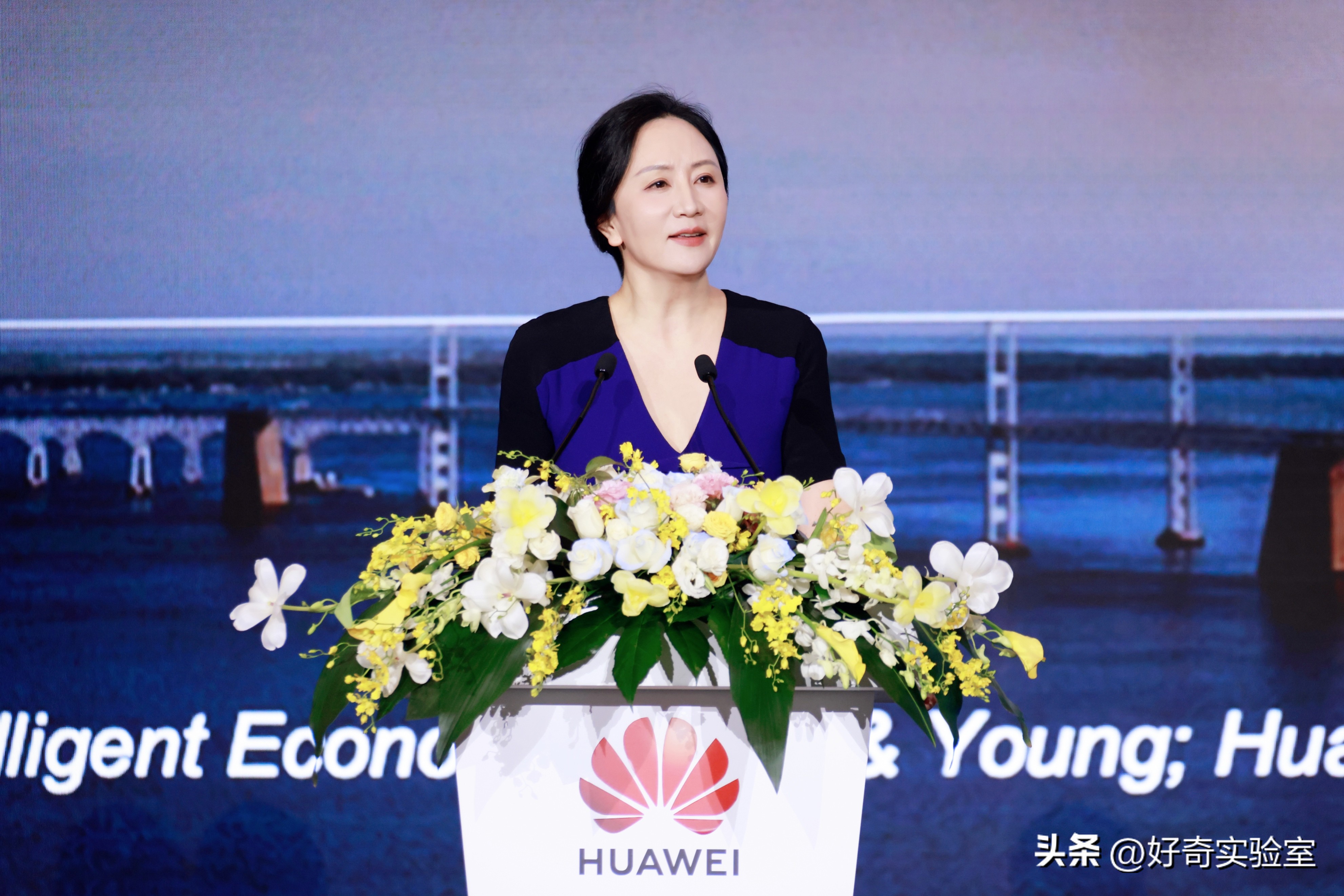 孟晚舟华为智能化战略,孟晚舟谈华为智能化战略