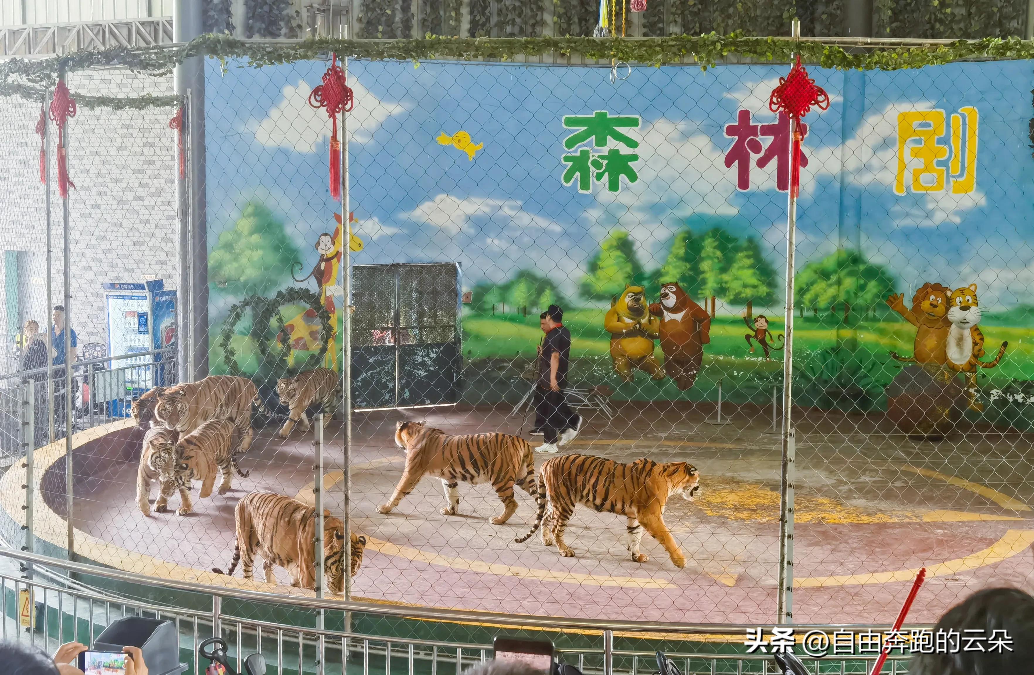 长沙生态动物园门票小孩免费吗,长沙生态动物园门票多少钱一个人