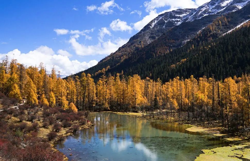 我们赞美四川70年发展变化,真正的四川现状