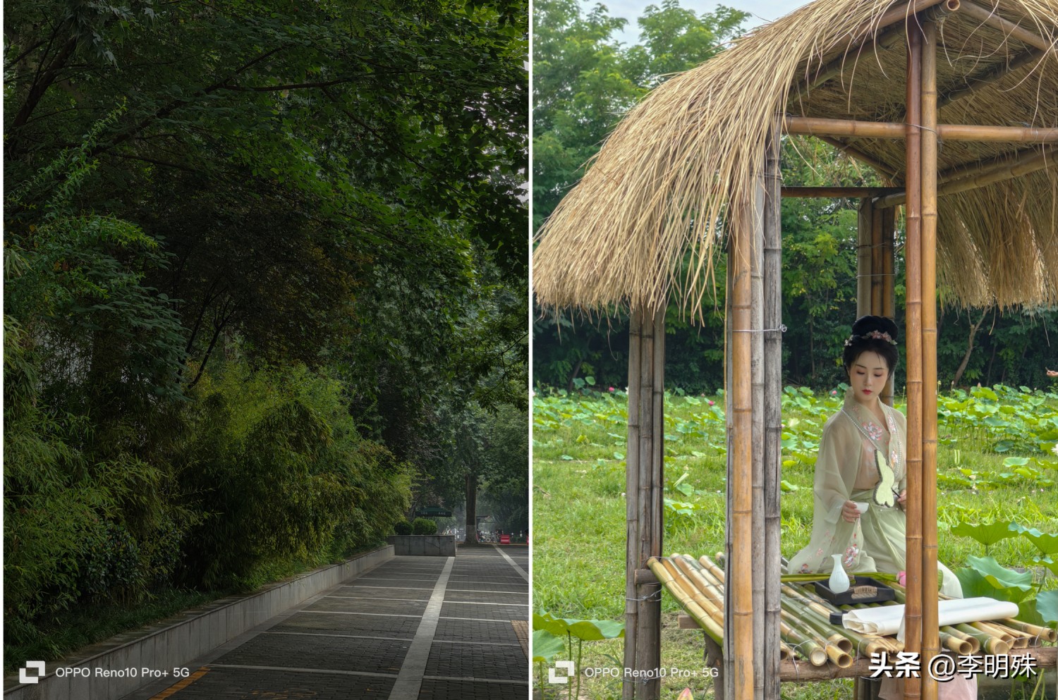 初学摄影要买哪一款照相机啊,业余摄影爱好者有必要买相机吗