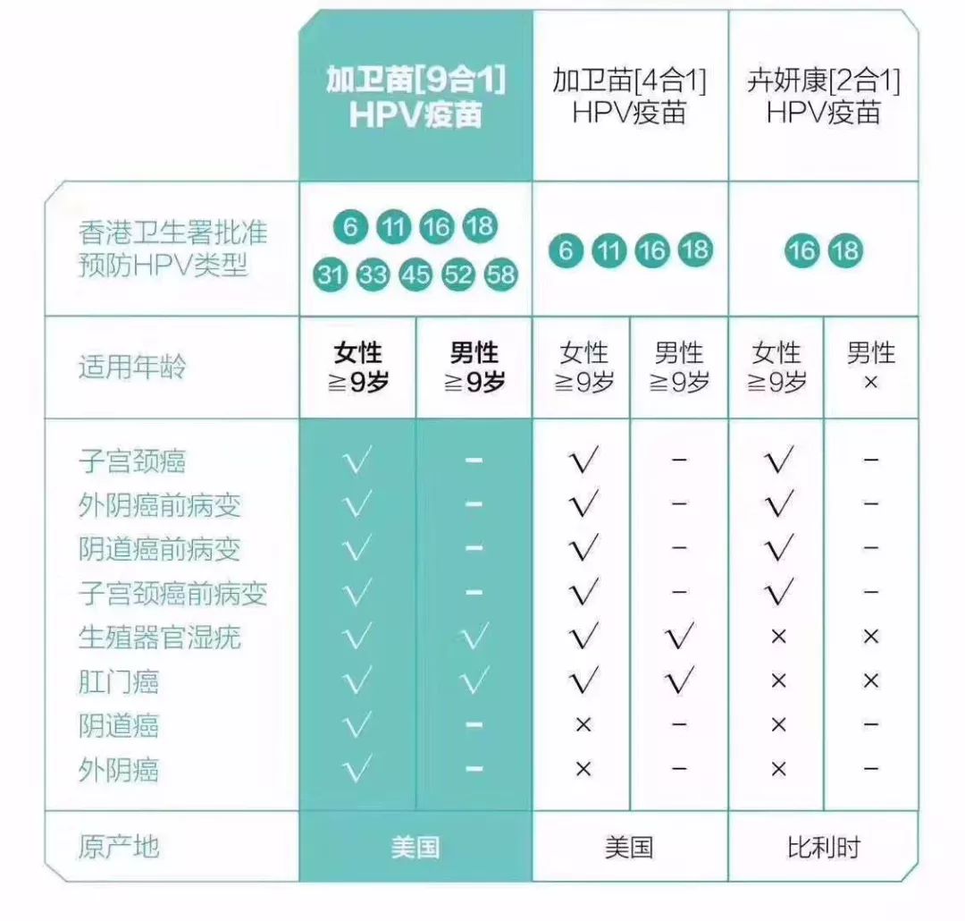 赴港必备三件套,出海4件套