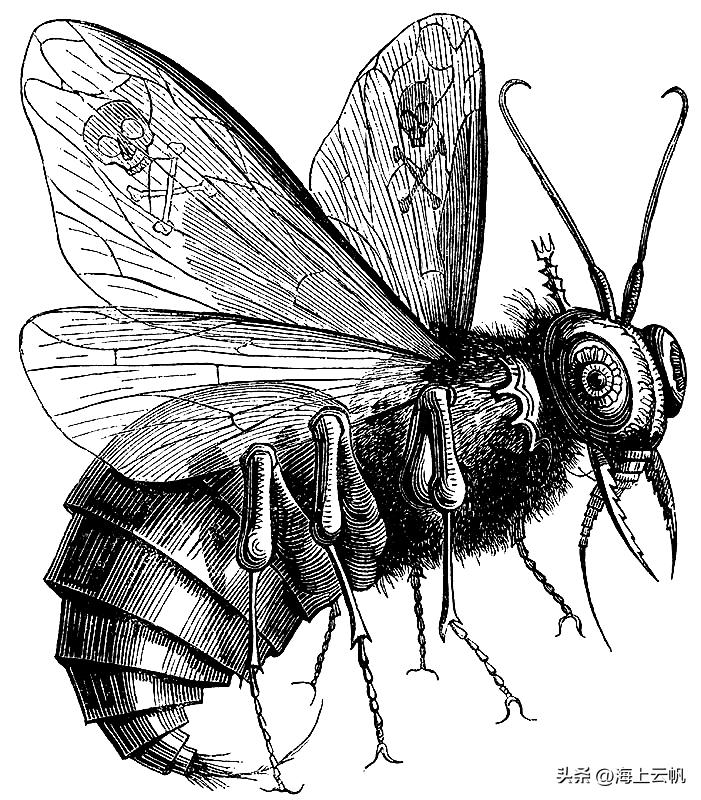 圣斗士圣战讲解,圣斗士圣魔天使实力