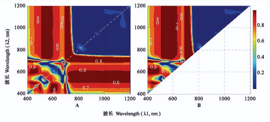 利用高光谱参数反演水稻叶片类胡萝卜素含量-莱森光学