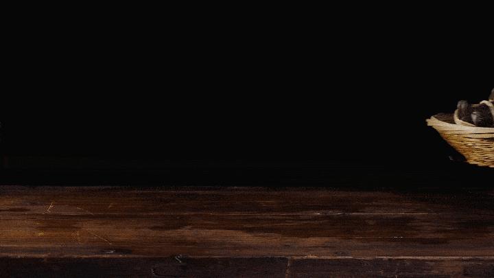 追根究底与寻根溯源,追根溯源探历史