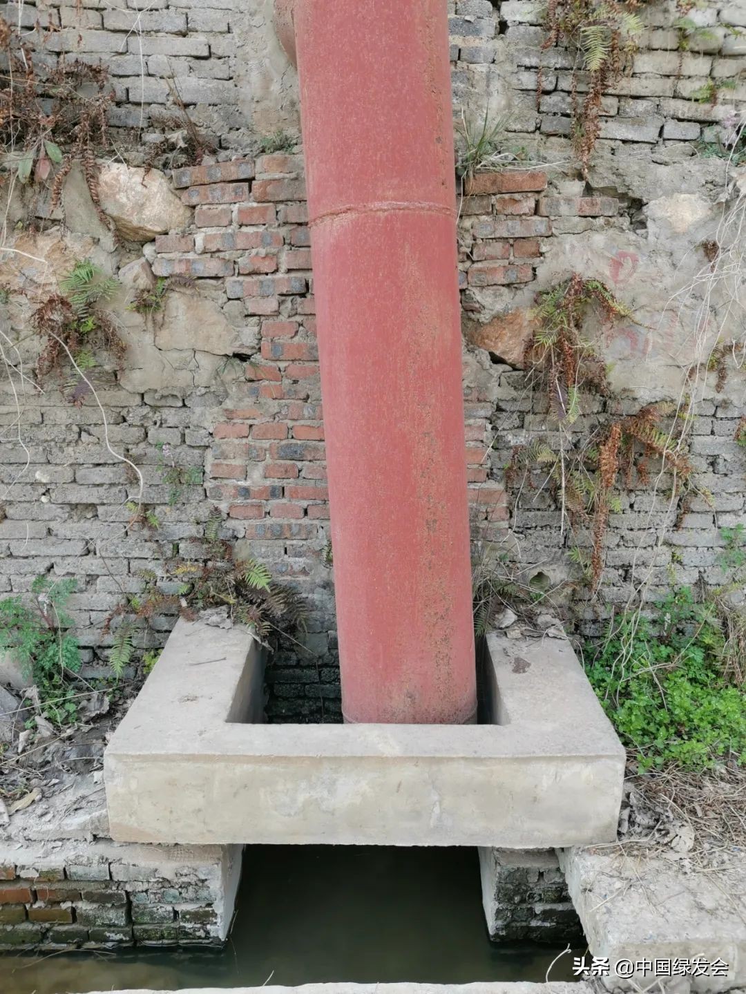 汉江沿线垃圾治理,湖北省老河口市汉江流域