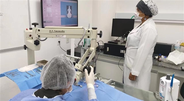 马斯克脑机接口治疗,脑机接口技术应用于临床还要多久