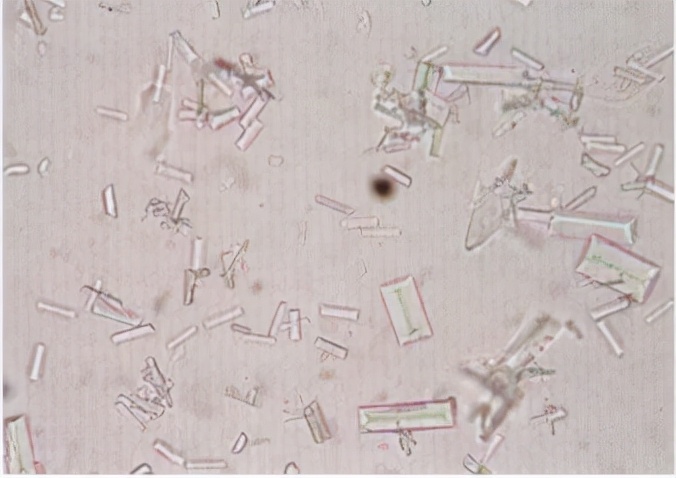 猫咪骗水喝的办法,猫咪骗水神器视频大全