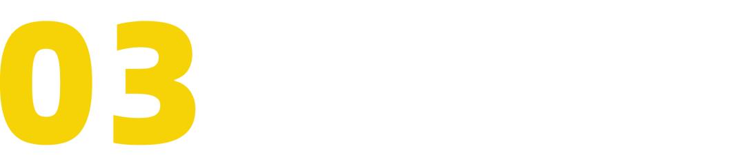 patagonia的总裁,patagonia设计师