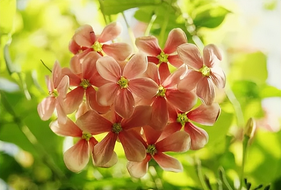 诚实信任比金钱重要的人生格言,关于诚实信任的名人名言