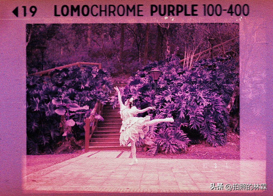 110胶卷/相机保姆级教程/相机选择/胶卷选择/冲扫店铺/实拍样片