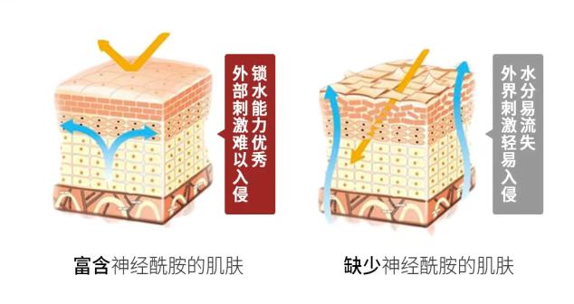 四川肽美,四川肽美生物科技有限公司怎么样