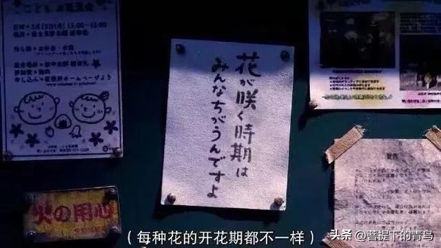 大智若愚大巧若拙的近义词,大智若愚大巧若拙老子