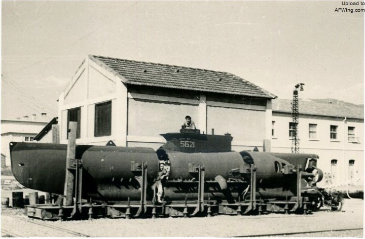 德国海军王牌潜艇,海豹的演化史