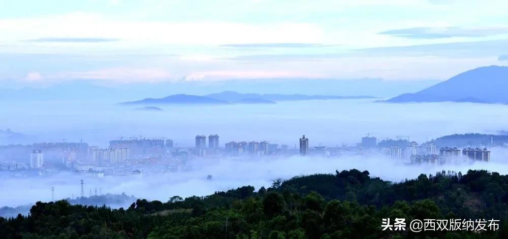西双版纳勐海普洱茶乡,云南西双版纳勐海茗城