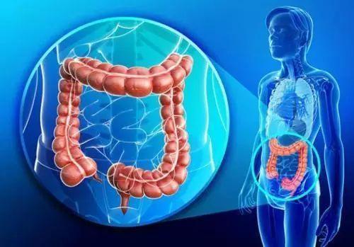 别再把直肠癌当成痔疮了,直肠癌和痔疮的自我判断区别