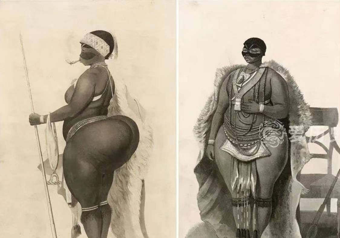 非洲女孩巴特曼:因臀部奇特供欧洲人观赏,死后制成标本展览200年