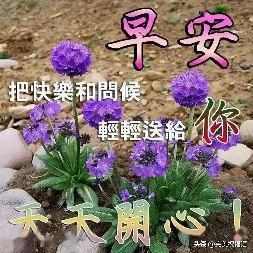 早上好祝福语图片加表情大全,今日最新早上好动态祝福表情