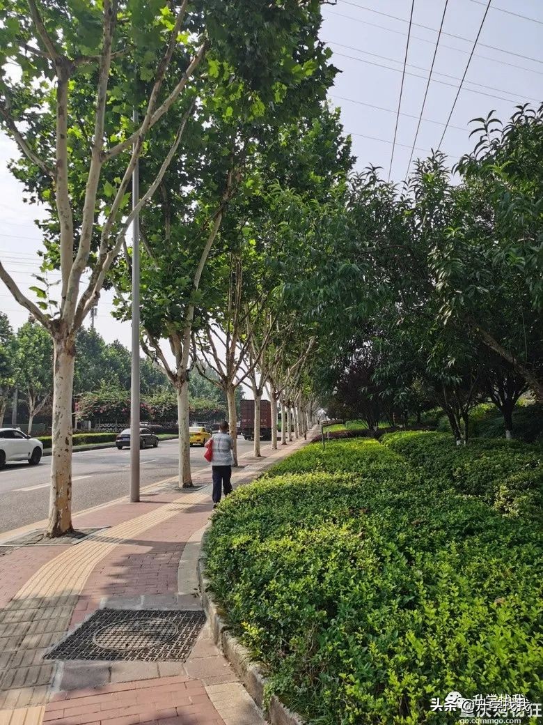 陪读房三室两厅一卫租金1300,潍坊一中附近陪读租房租金多少