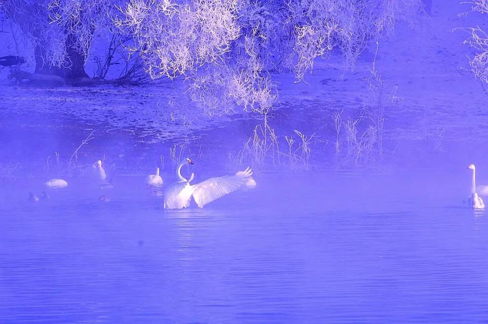 适合2月出行的12个旅行地，不负冬日的白雪和暖阳，准备好了吗？