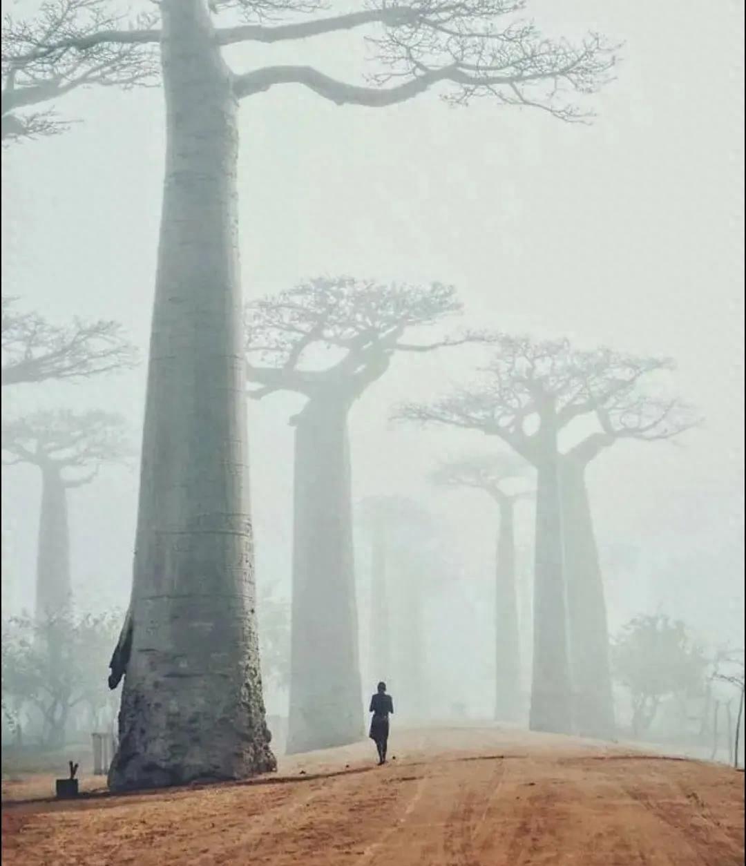 世界最罕见的女人图片高清,最罕见的30张照片女性