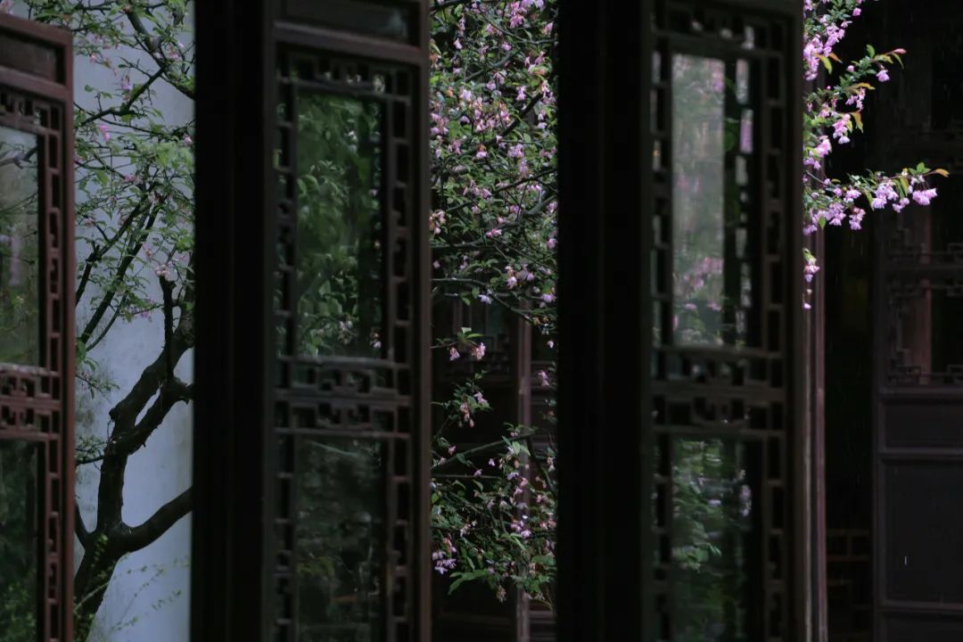 江南最美的城市,江南最好的风景城市