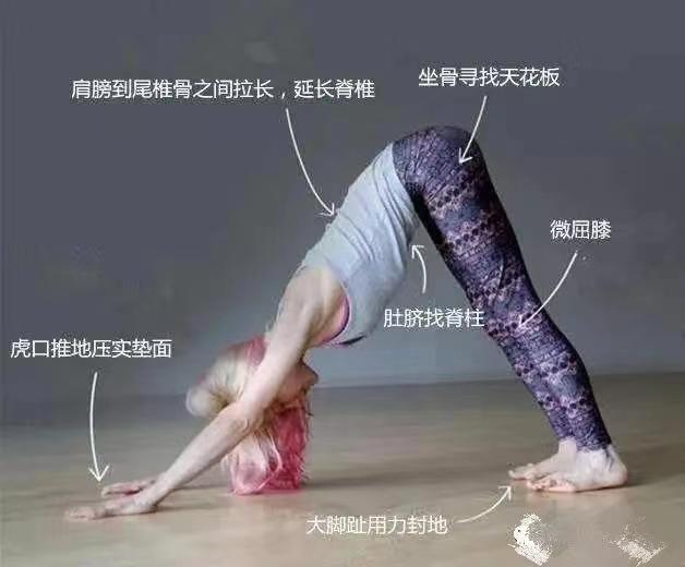 初学者12种瑜伽姿势名称英文,初学者瑜伽入门零基础8个动作