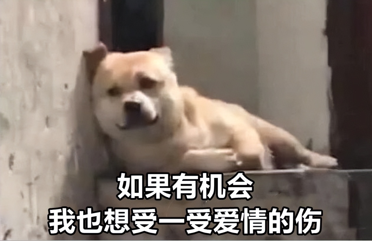 最难愈合的疤痕,无法治愈的疤痕