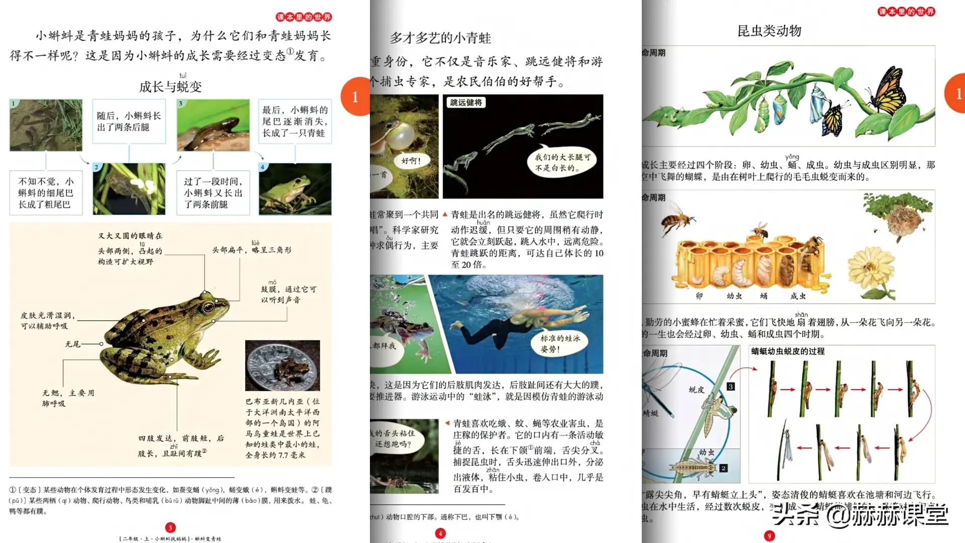 语文公认最好的小学教辅,用好这本教辅初中语文大逆袭