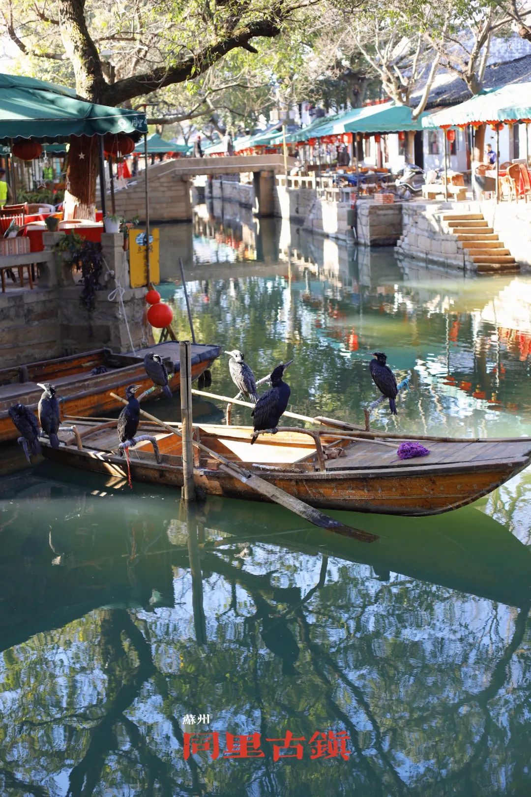 苏州古镇两天一夜旅游攻略,去苏州怎么玩一日游