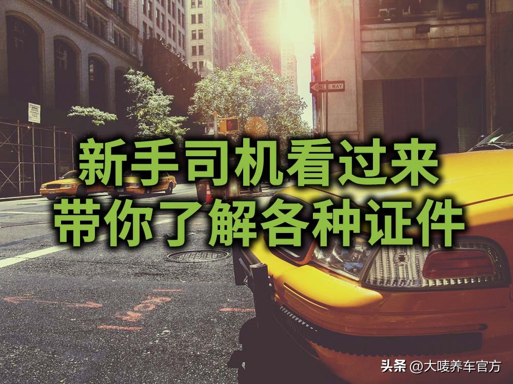 新手司机要带的证件,新手上路需要哪些证