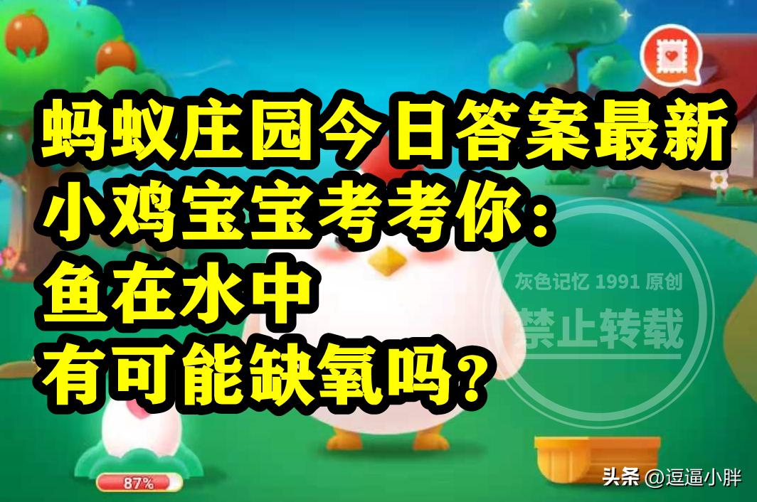 蚂蚁庄园小鸡宝宝答案,蚂蚁庄园答案小鸡宝宝考考你