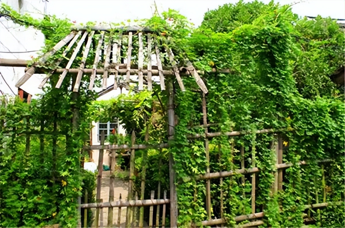 室内景观设计，让心静下来，让生活慢下来