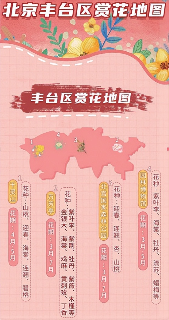 赏花何须远行带你寻觅最美秋色,赏花何须远行最美花景就在身边