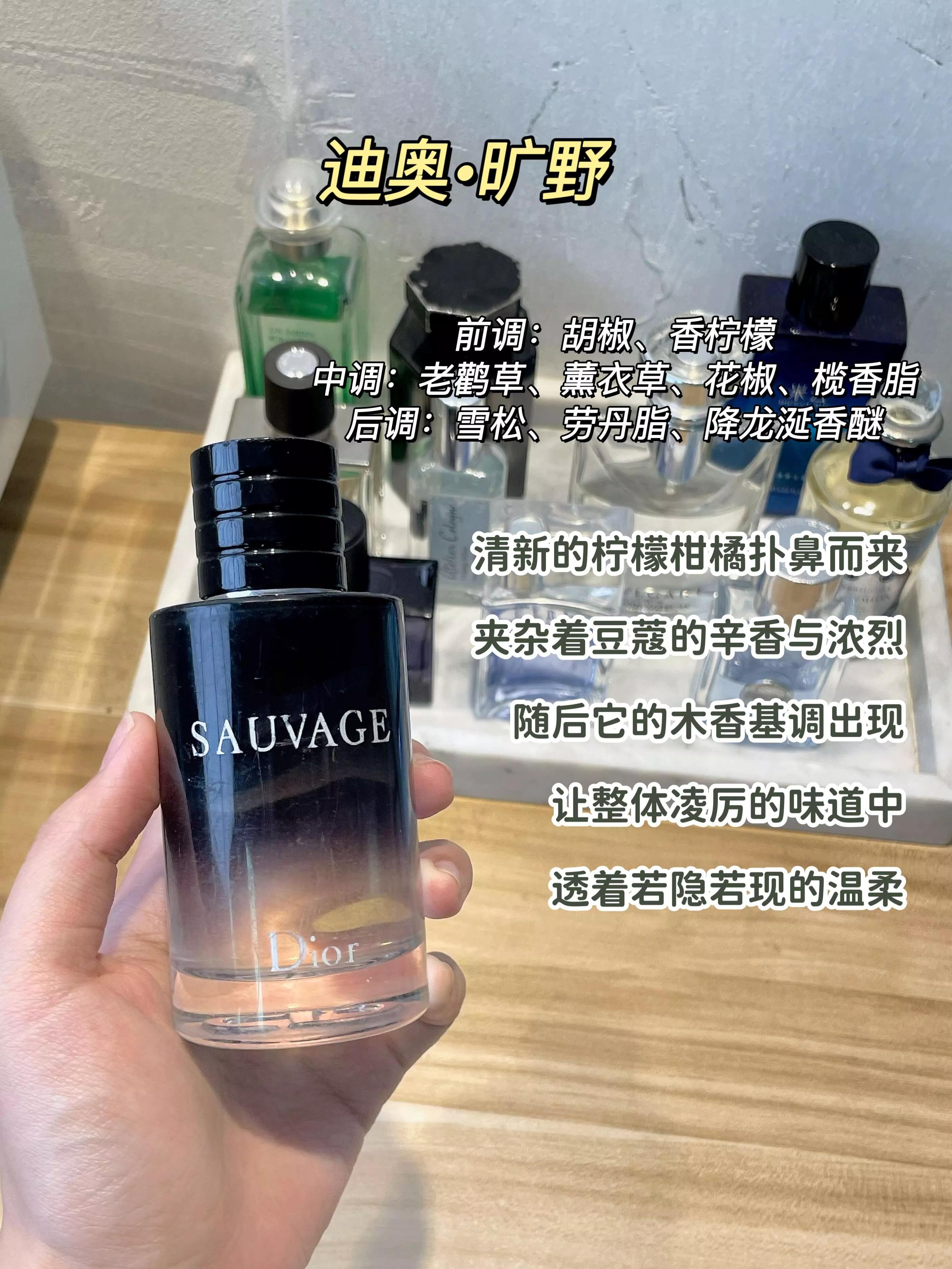 古龙香水男士香水推荐,迪奥香水男士香水旷野之心