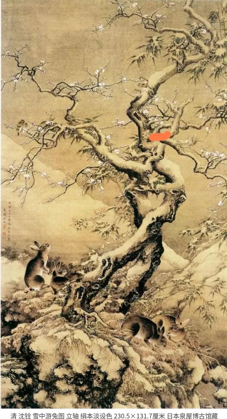 第五十五节绘画课【动物提高】玉兔望月