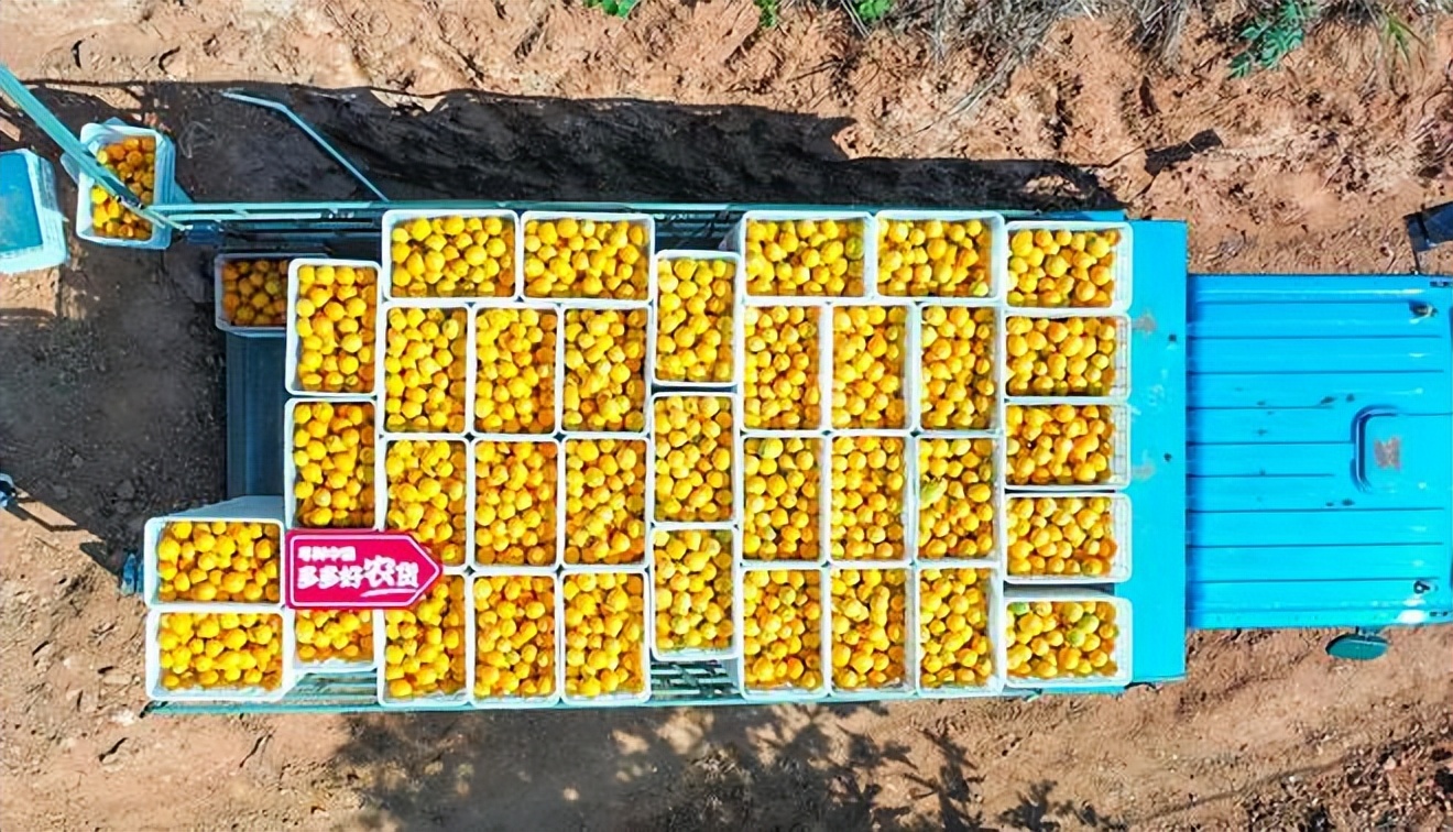 47岁农民工创业项目,70后农民工创业项目