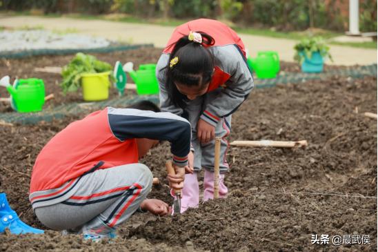 成都新增66所新优质学校武侯区,武侯新城有哪些学校