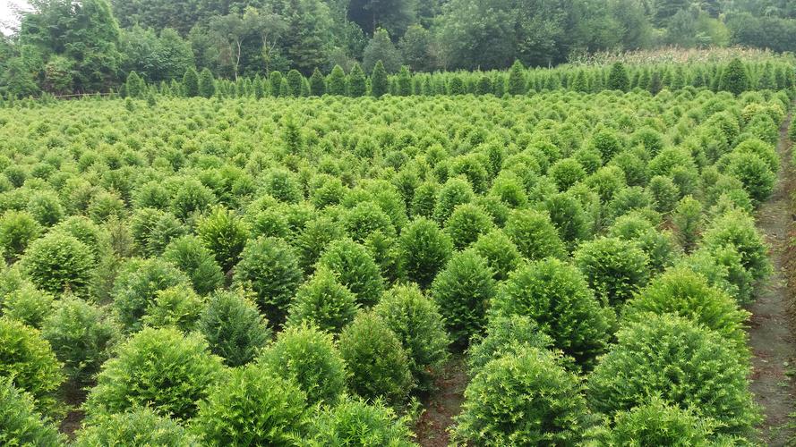 暴利工业废料变废为宝,九零后小伙收废品变废为宝