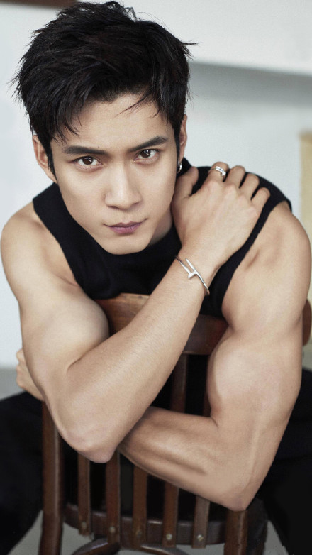 中国五大帅气男星,黑龙江最帅的帅哥