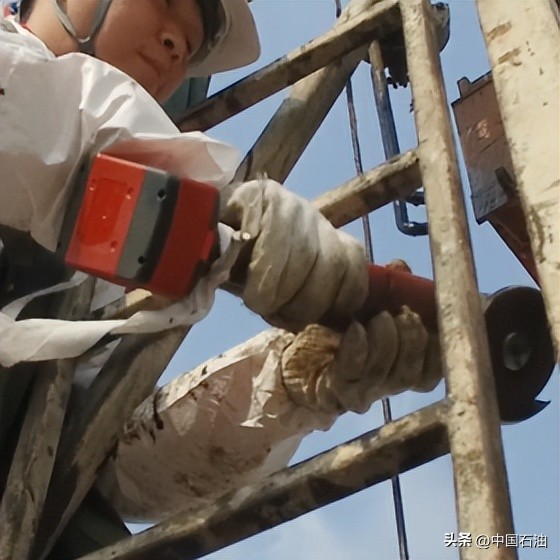 特别策划案例,特别策划系列