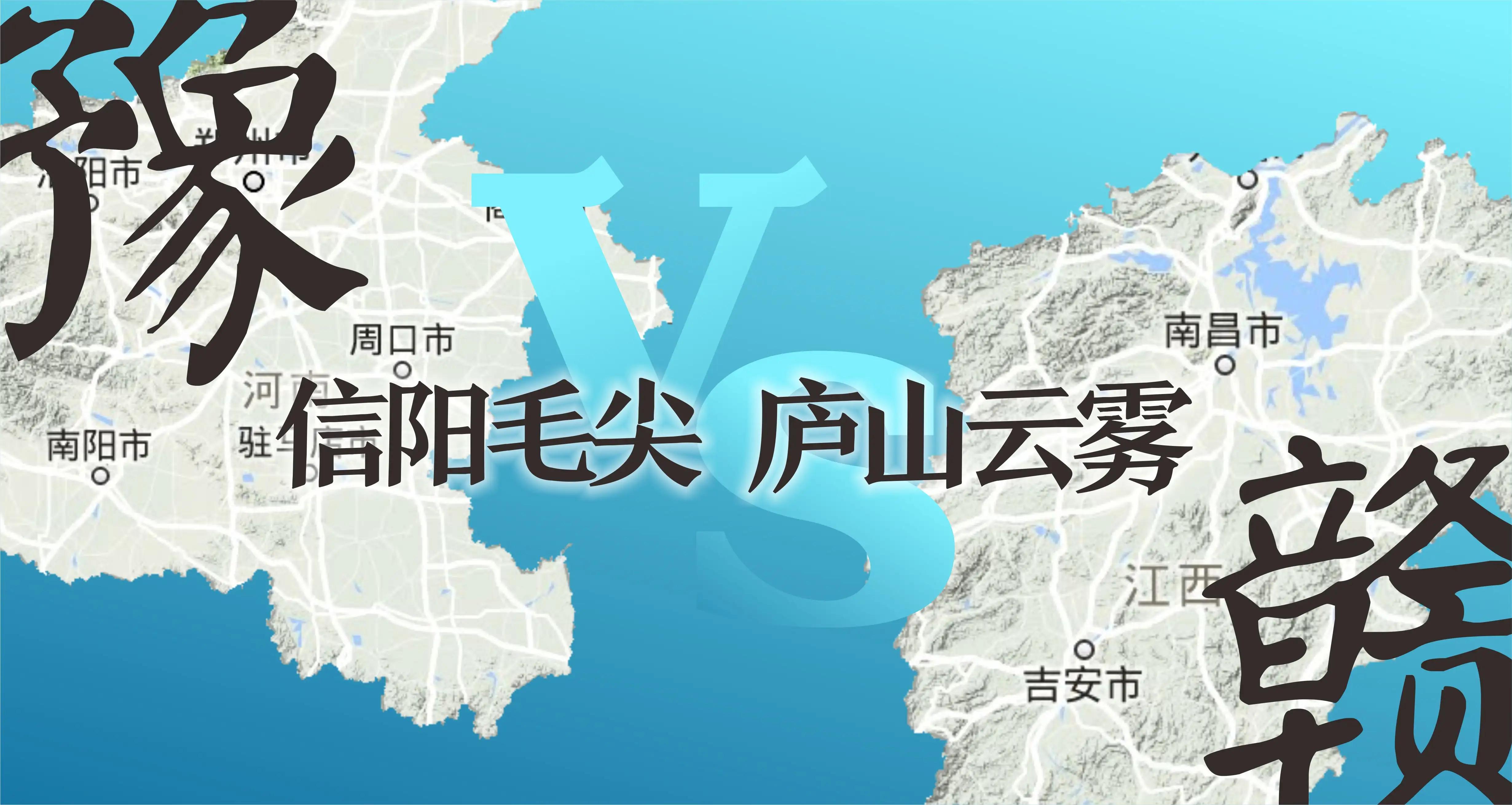 茶叶比赛信阳毛尖,信阳毛尖茶王争霸比赛