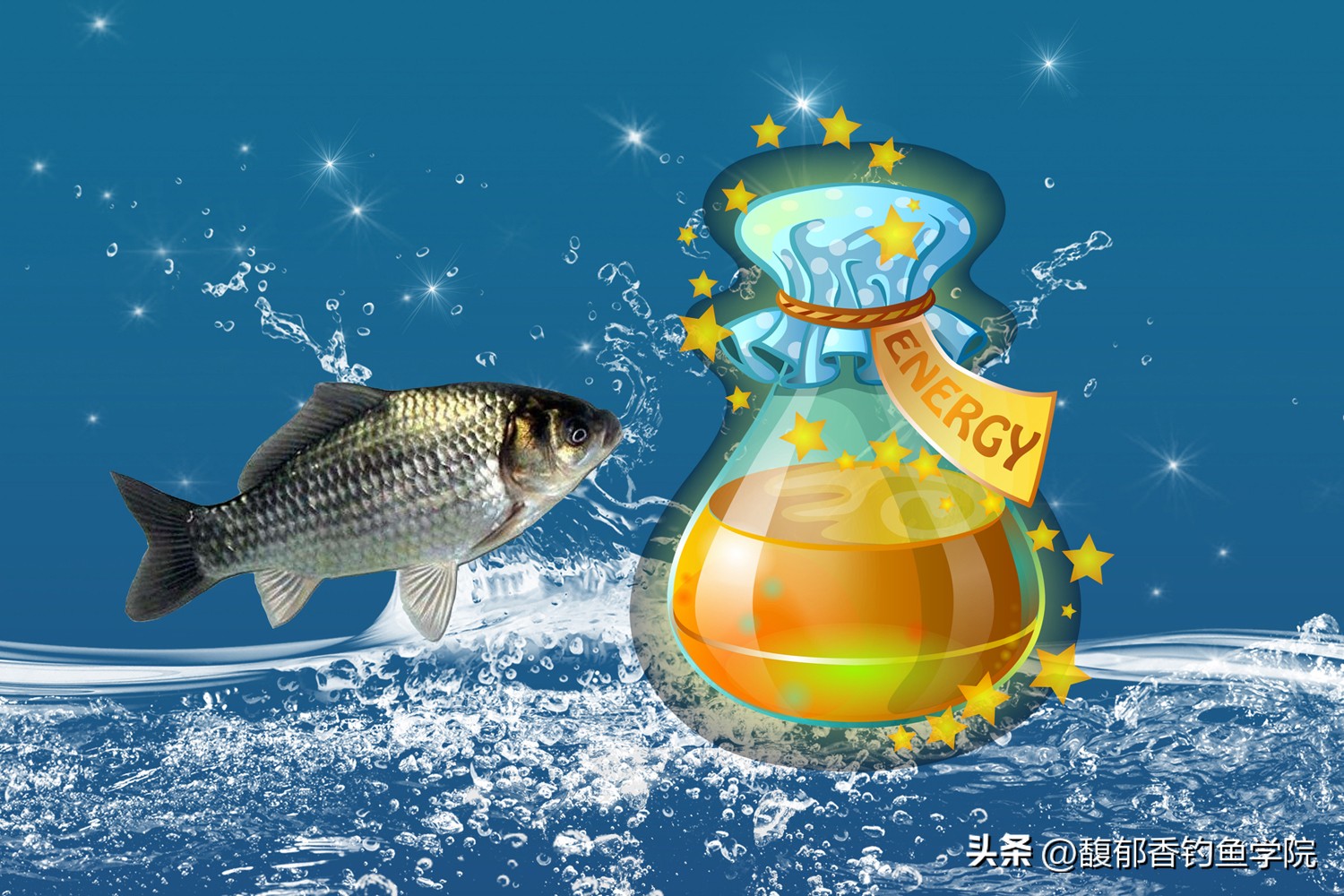 钓鱼小药的原理，锦上添花还是雪中送炭？钓鱼小药的秘密