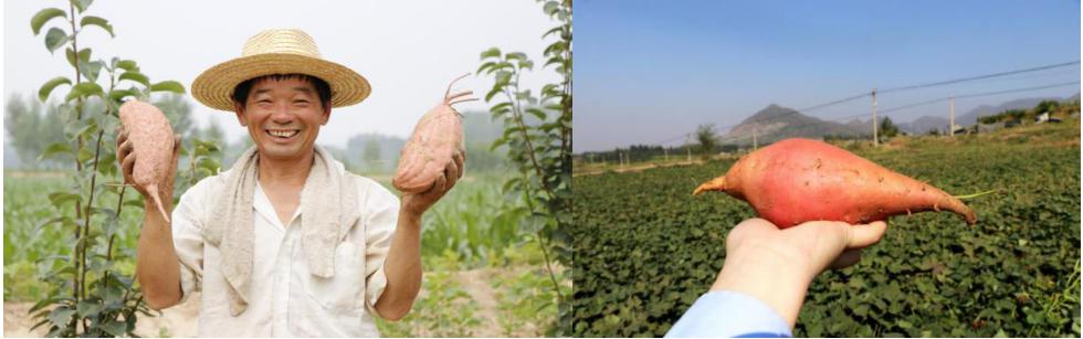 十年风雨创业视频,十年创业风雨中
