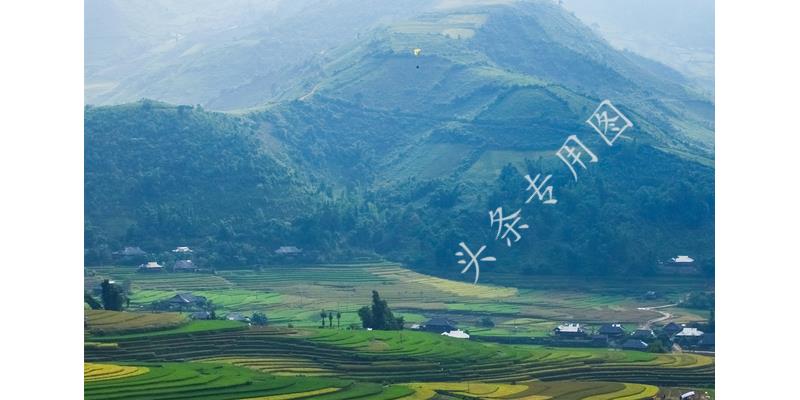 媳妇一人做饭全家吃,老婆一个人做年夜饭合适吗