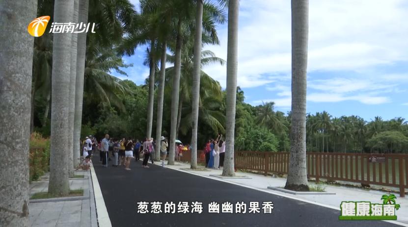 健康海南｜医疗护理师话说快乐健康去旅行！