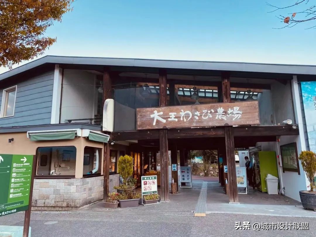 乡村振兴和乡村治理典型经验,乡村治理的发展与创新