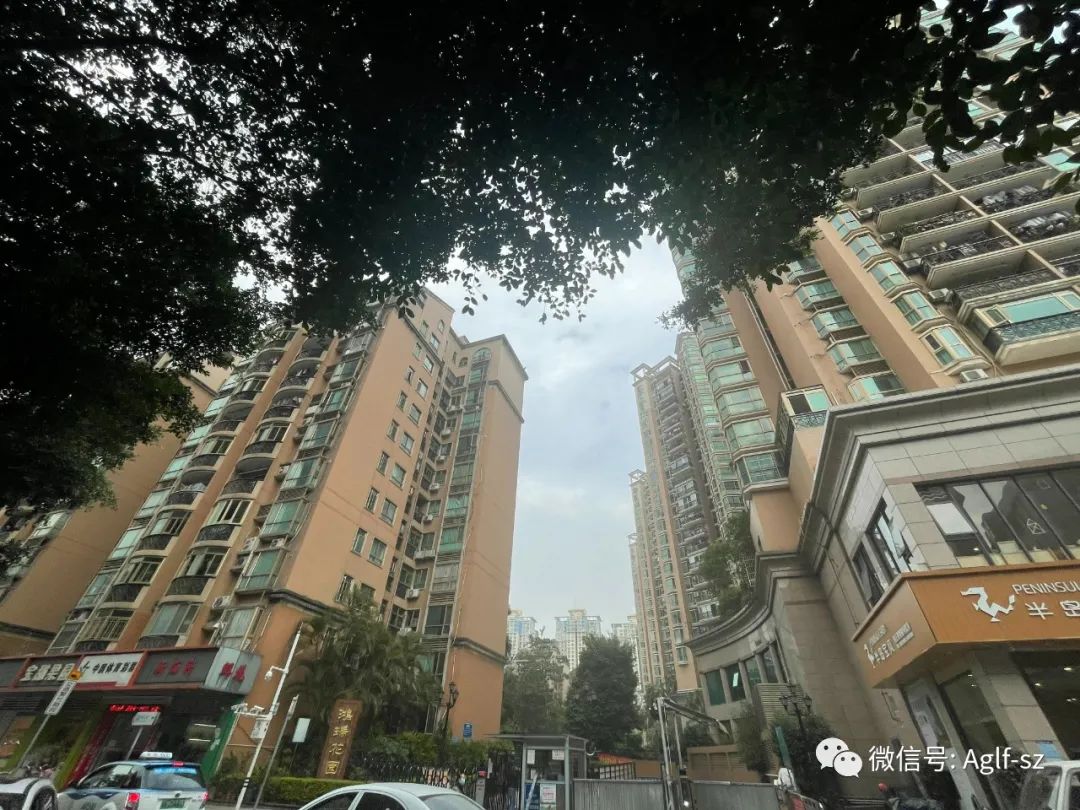 被黄金地段包围的南山中心区，是青铜还是王者？