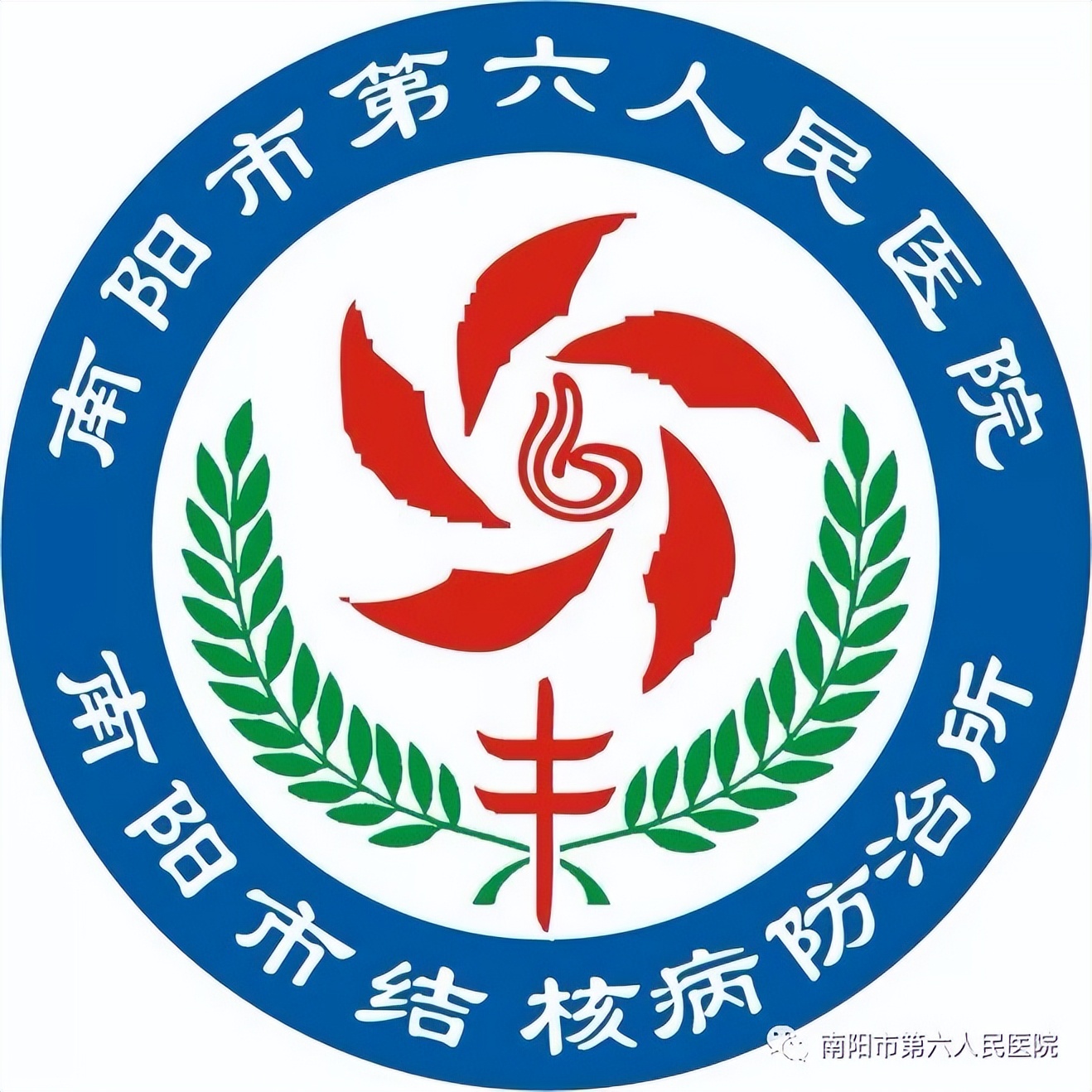 南阳结核病专家,南阳六院结核科专家医生