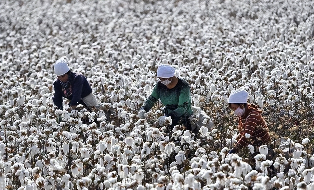 耐克最近大事件,耐克近期事件