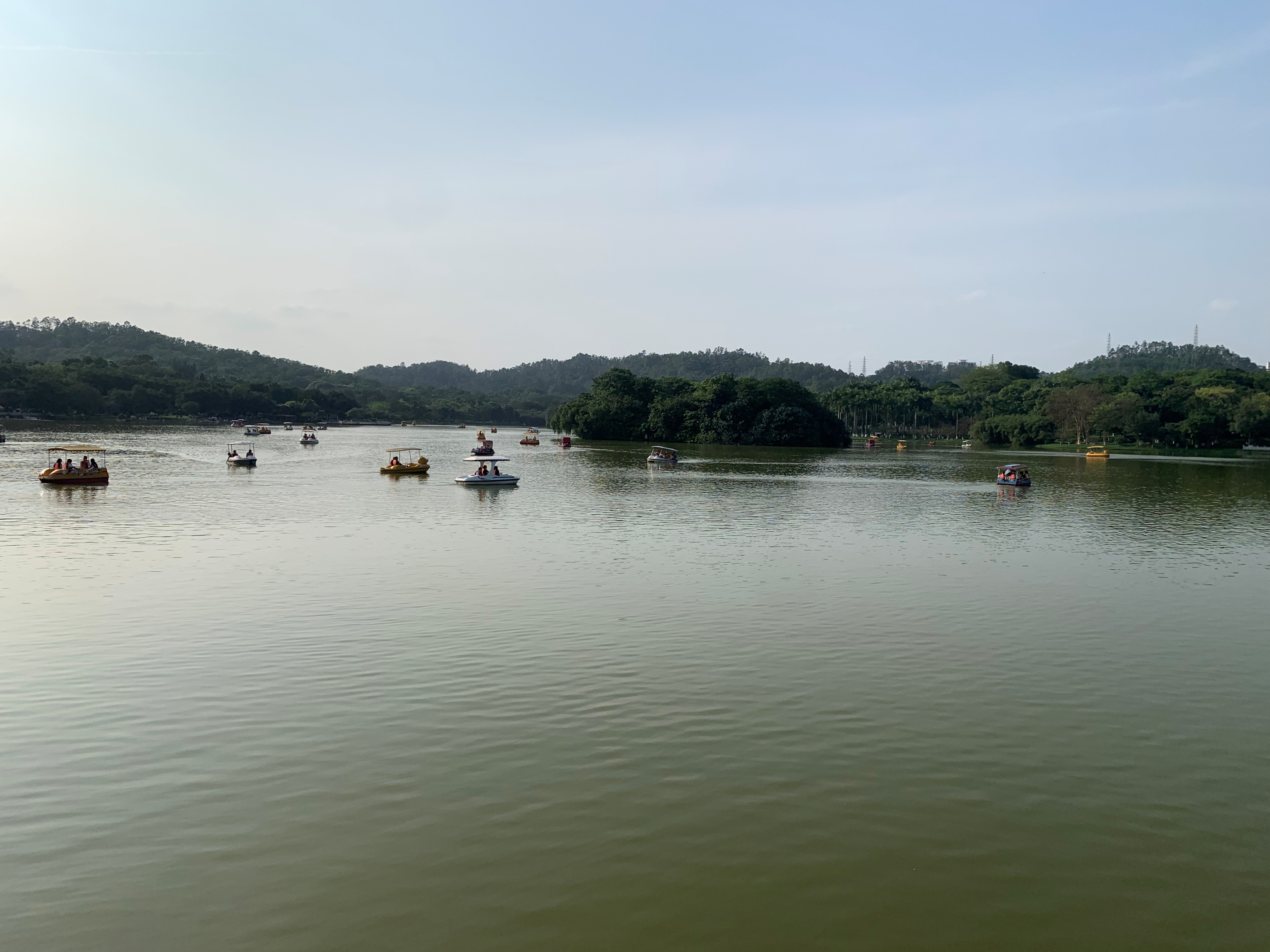 大夫山一日游自由行,大夫山一日游周记